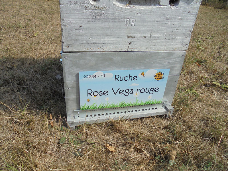 La ruche Rose Vega rouge